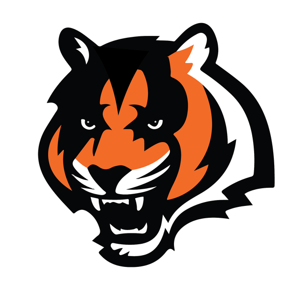 Cincinnati Bengals Heavy Metal Logo iron on transfers